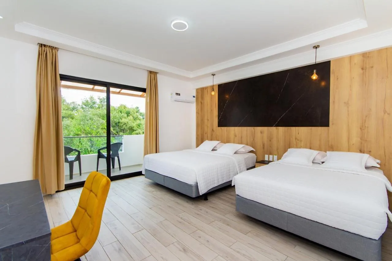 Grand Hotel Leon Marino Galapagos location